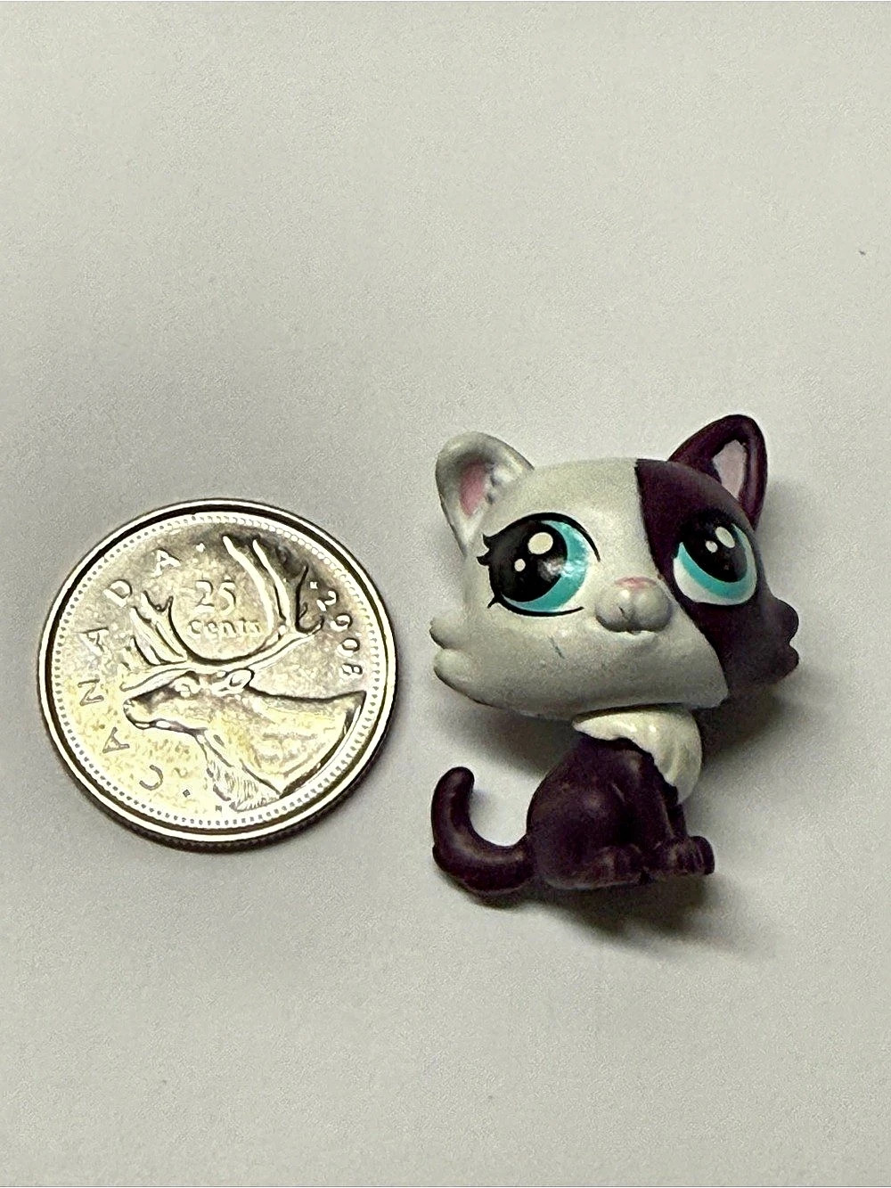 Hasbro Littlest Pet Shop Black & white kitten